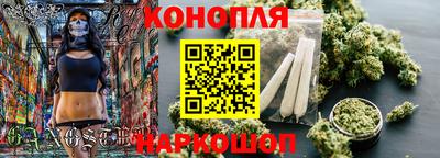 сатива Кунгур