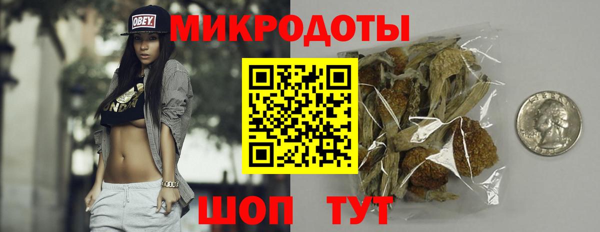 Галлюциногенные грибы Cubensis Кириши